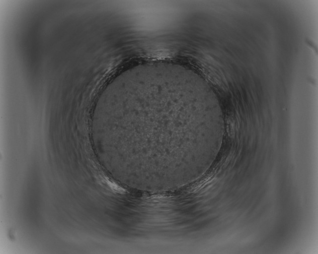 X0000097651393200803071459