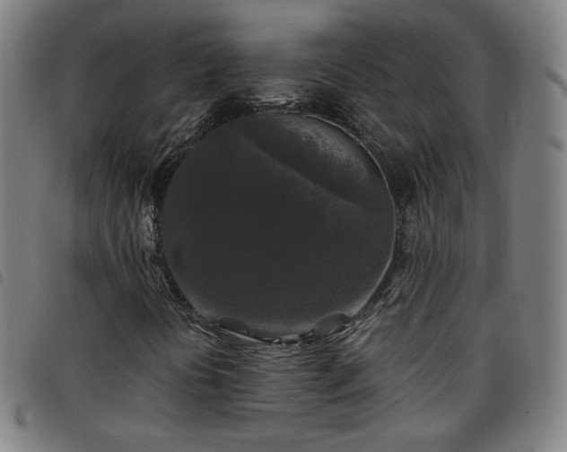 X0000097651394200803071459