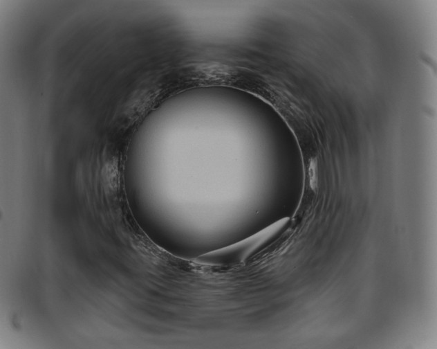 X0000097651395200803071459