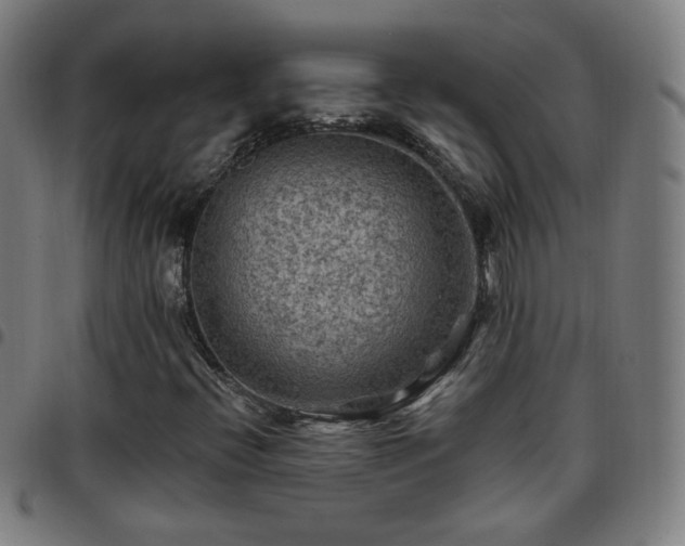 X0000097651396200803071459