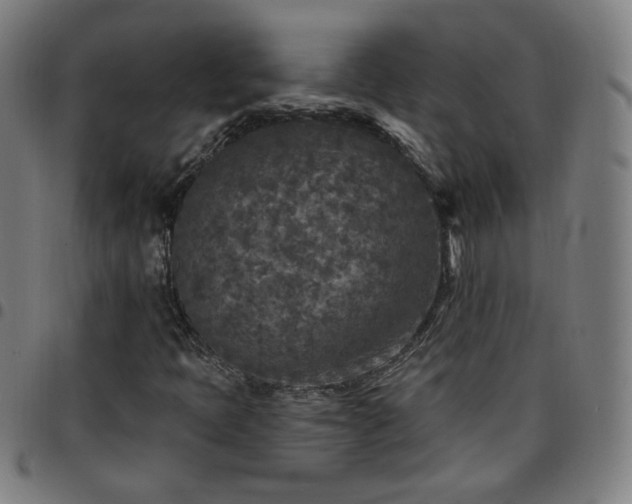 X0000097651397200803071459