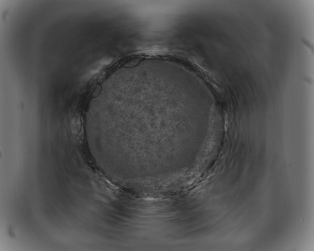 X0000097651398200803071459