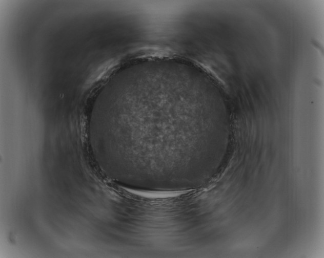 X0000097651399200803071459