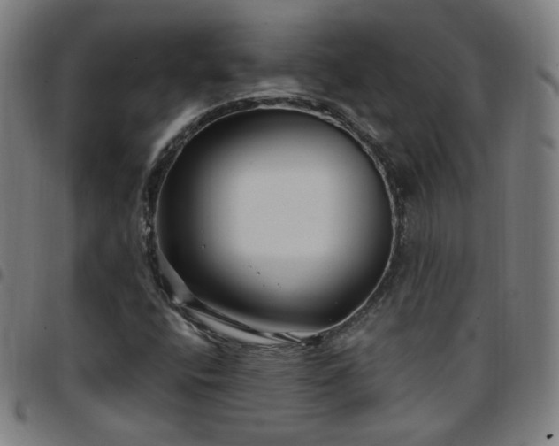 X0000097651400200803071459