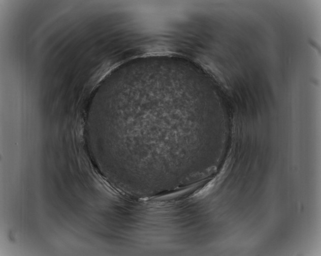 X0000097651401200803071459