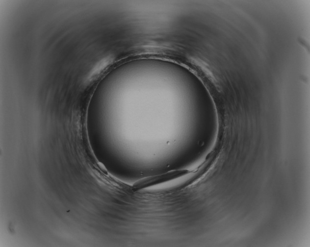 X0000097651403200803071459