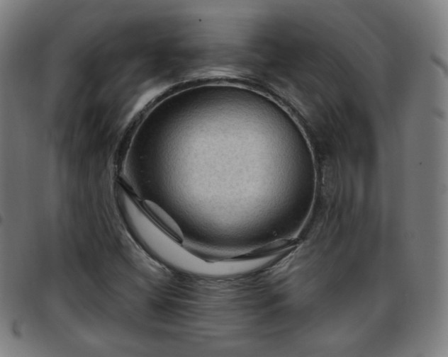 X0000097651404200803071459