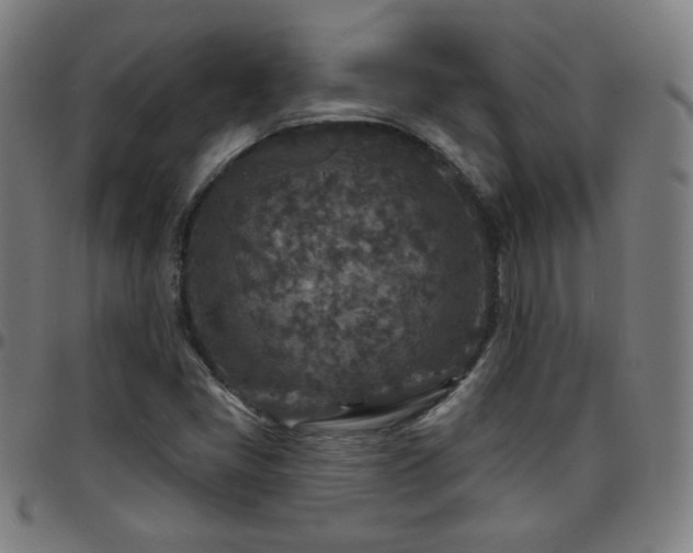 X0000097651405200803071459