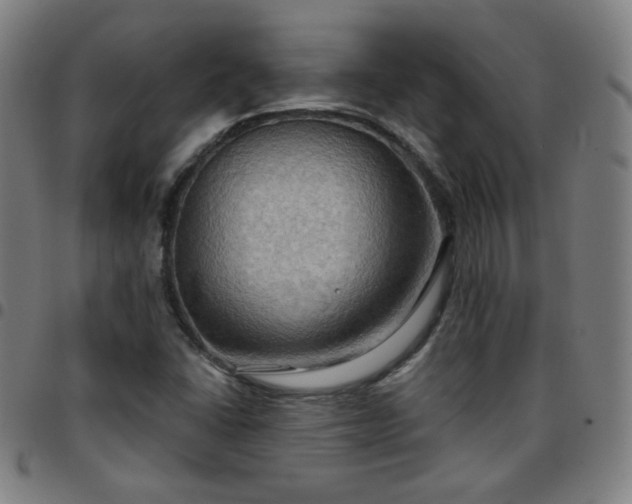 X0000097651406200803071459