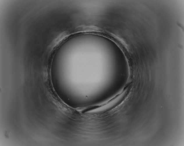 X0000097651407200803071459