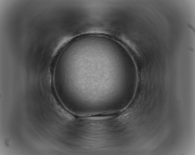 X0000097651408200803071459