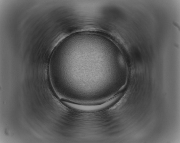 X0000097651409200803071459