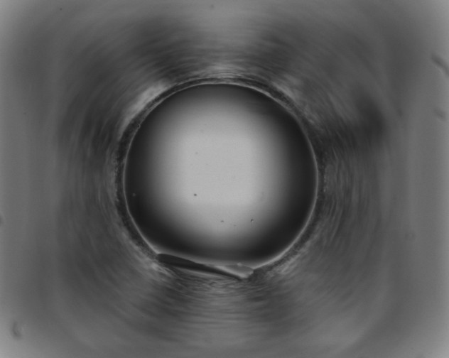 X0000097651410200803071459