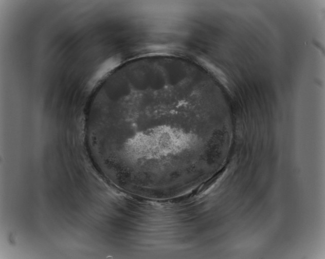 X0000097651411200803071459