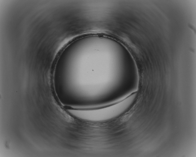 X0000097651412200803071459