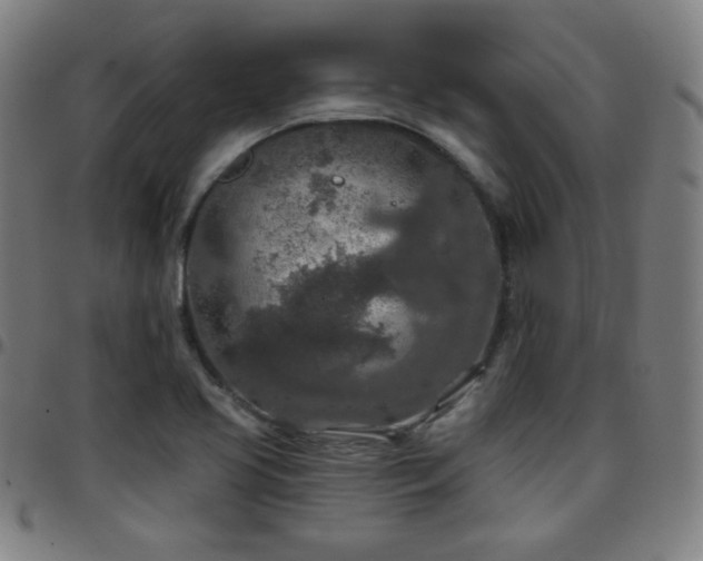 X0000097651413200803071459