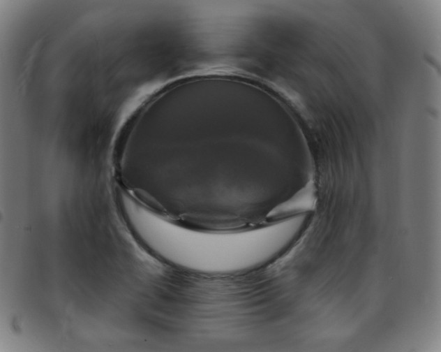 X0000097651414200803071459