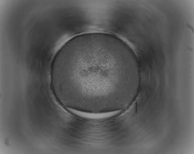 X0000097651415200803071459