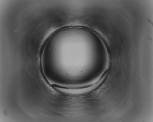 X0000097651416200803071459