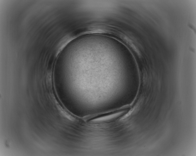 X0000097651417200803071459