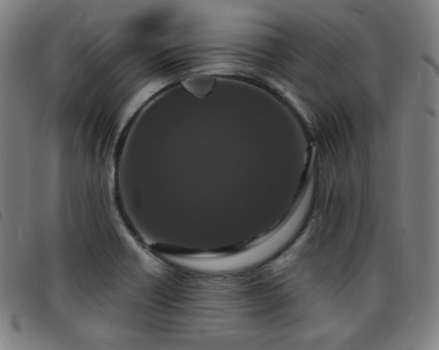 X0000097651418200803071459