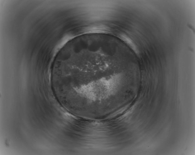 X0000097651419200803071459