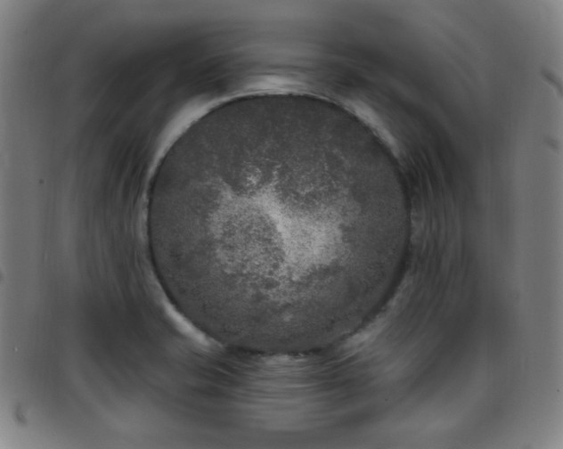 X0000097651421200803071459