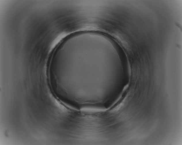 X0000097651422200803071459