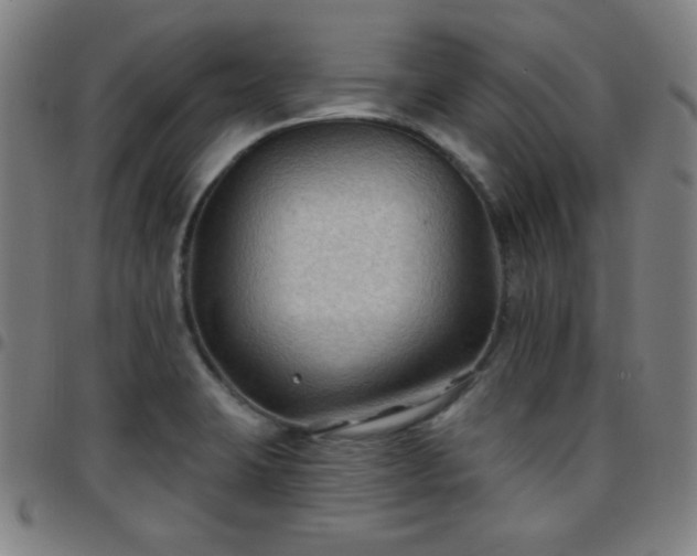 X0000097651423200803071459