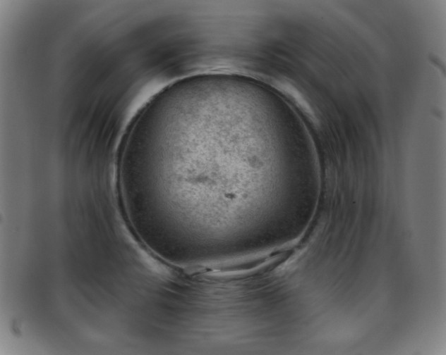 X0000097651424200803071459