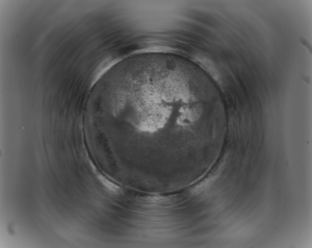 X0000097651425200803071459