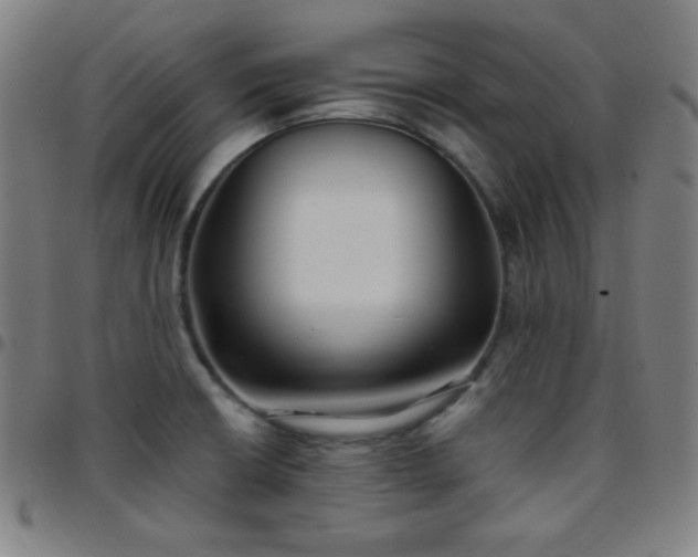 X0000097651426200803071459