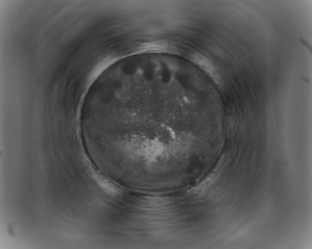 X0000097651427200803071459