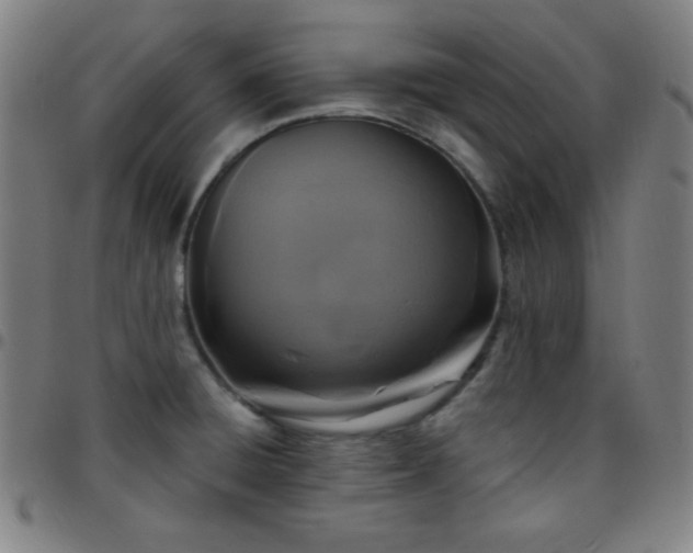 X0000097651428200803071459