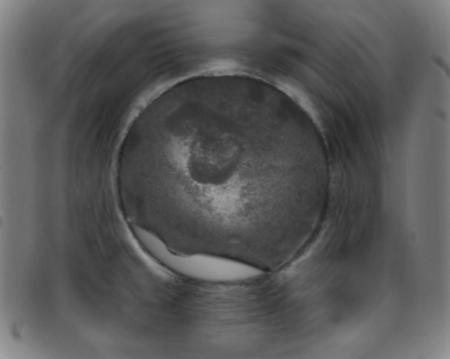 X0000097651429200803071459