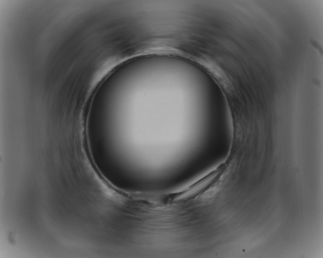 X0000097651430200803071459