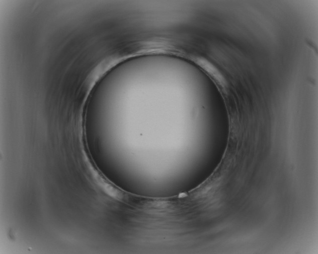 X0000097651431200803071459