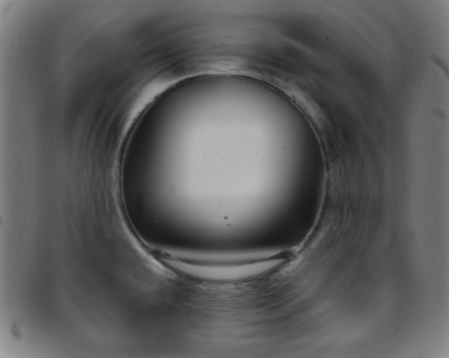 X0000097651432200803071459