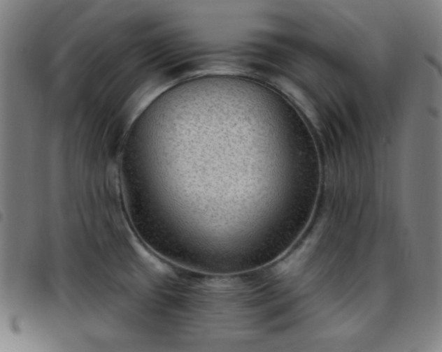 X0000097651433200803071459