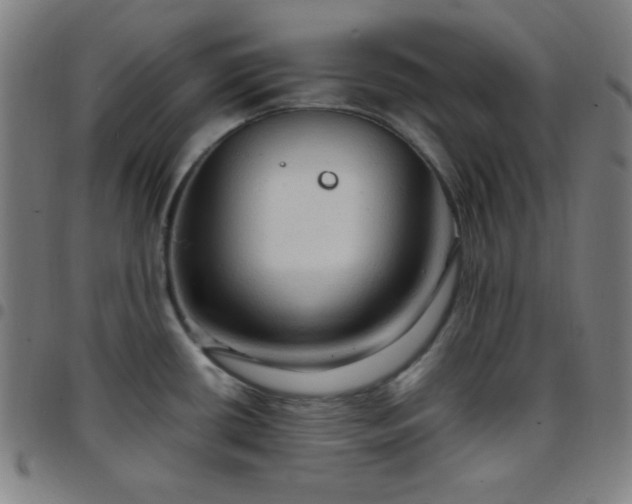 X0000097651434200803071459