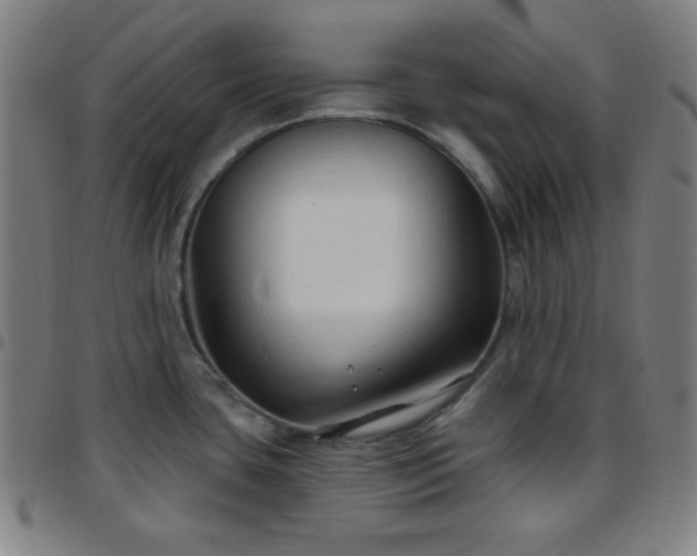 X0000097651435200803071459