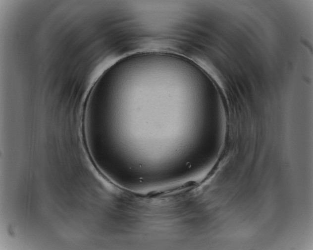 X0000097651437200803071459