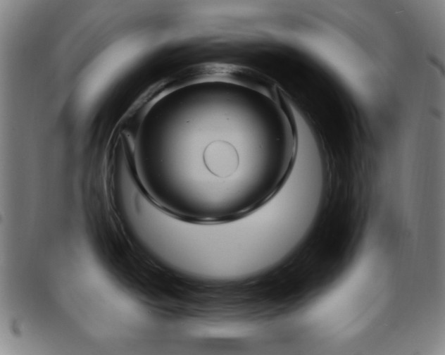 X0000097651438200803071459