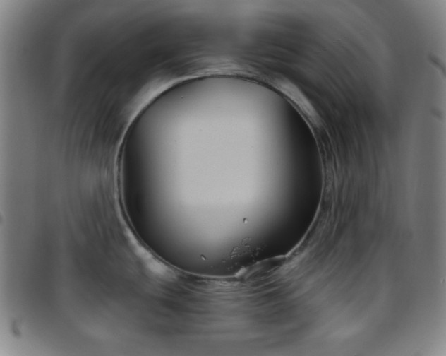 X0000097651439200803071459