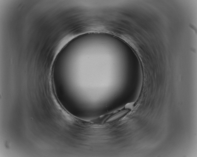 X0000097651440200803071459