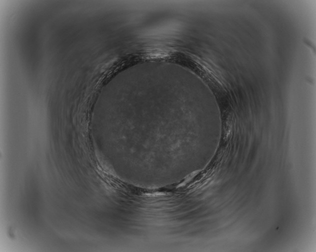 X0000097651441200803071459