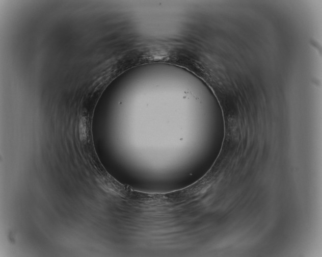 X0000097651442200803071459