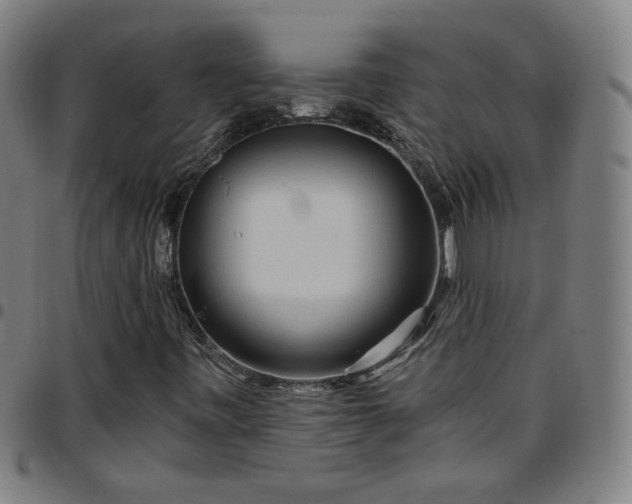 X0000097651443200803071459