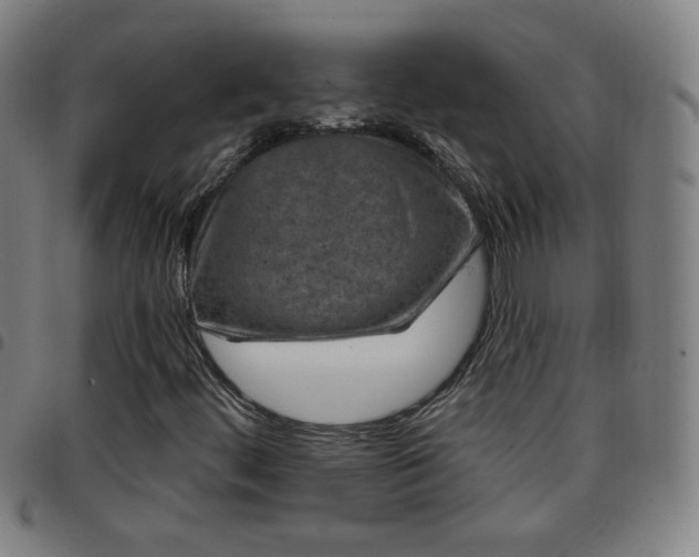 X0000097651444200803071459