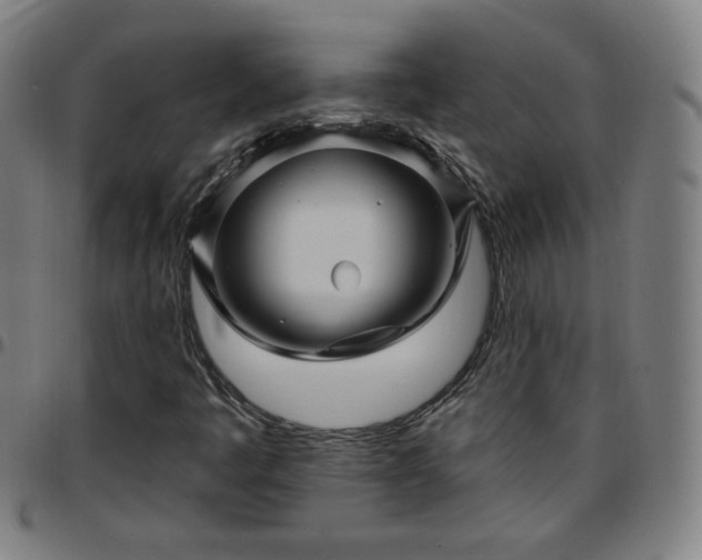 X0000097651445200803071459